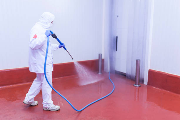 Best House Exterior Washing  in Sandpoint, ID